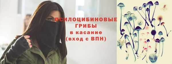 дмт Армянск