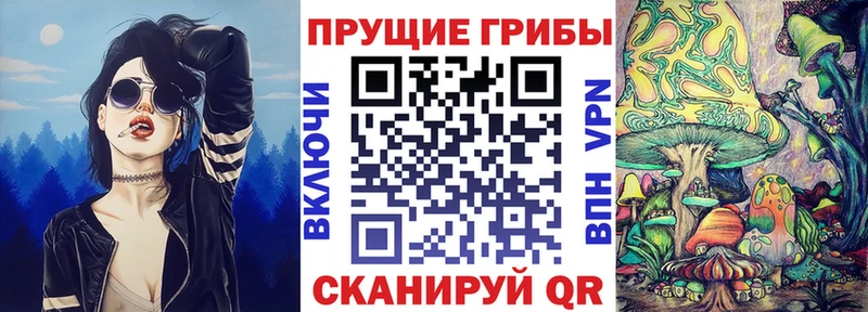 Купить  Салаир  Галлюциногенные грибы мухоморы 